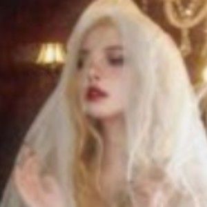 Meet your Posher, Dixie